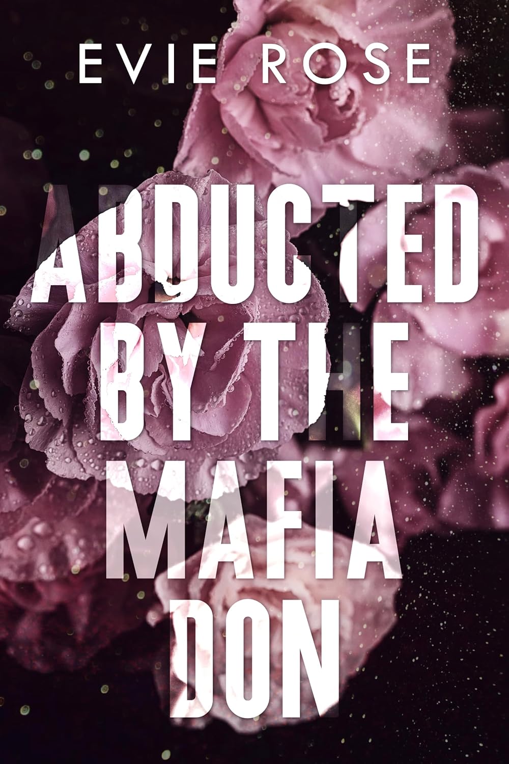 Abducted by the Mafia Don: an age gap stalker mafia boss romance (London Mafia Bosses)